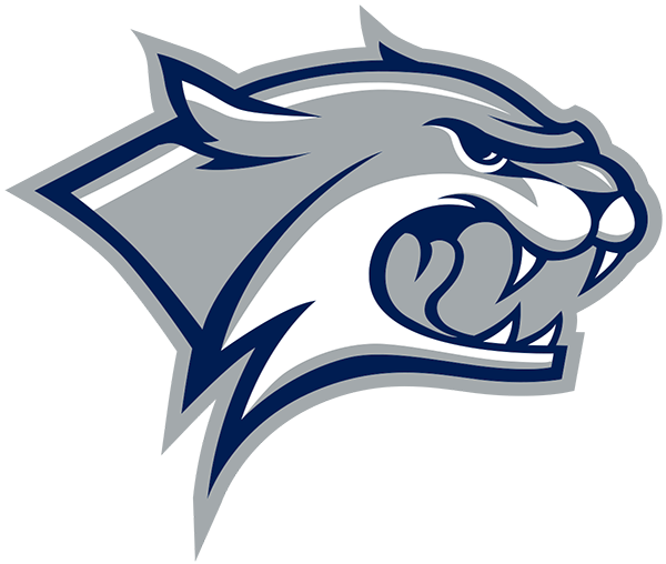 New Hampshire Football Logo!